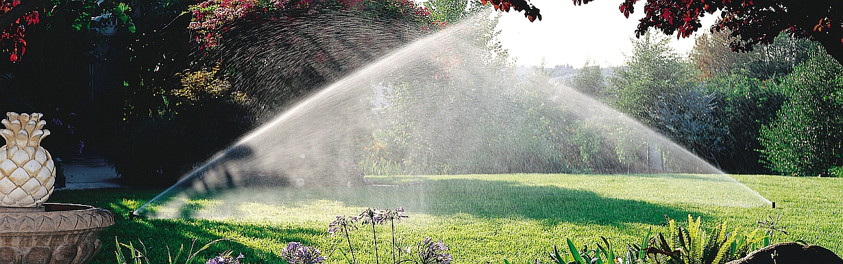 ITTEC je autorizovaným distributorem Rain Bird pro ČR od roku 1992. Nyní značku Rain Bird naleznete na více než 25.000 zahradách po celé republice i na Slovensku.
